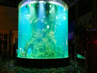 china bargain cheap super big round pmma glass aquariums tank cylindrical acrylic clear