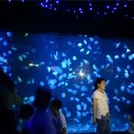 2018 acrylic jellyfish a glass of aquarium