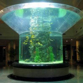 pmma kulikê aquarium nîv-cylinder perspex-a-masî tank
