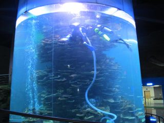 ji bo aquariums an parka deryaya tîrêjê ya masîlekî acrylic diyar e
