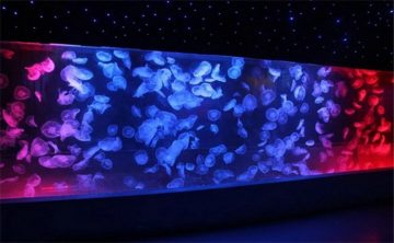 Acrylic Jellyfish Tank