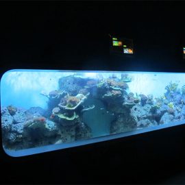 Pêwîstina kulîlk aktrîkî ya Acrylic Artîkal aquarium / paceyek dîtî