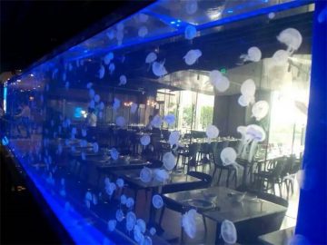 Tîpa Acrylic Jellyfish tank
