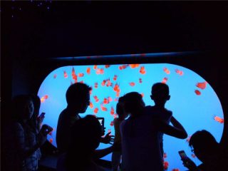 Pîvanên rengî yên cuda yên cûda yên bi rengî jellyfish tank