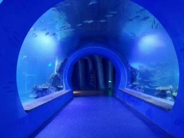 Bila zelal a bilind a acrylic tunnel aquarium ya cuda