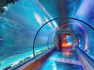 Design a modern aquarium a long tunnel