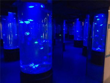 gola acilelic jellyfish aquarium